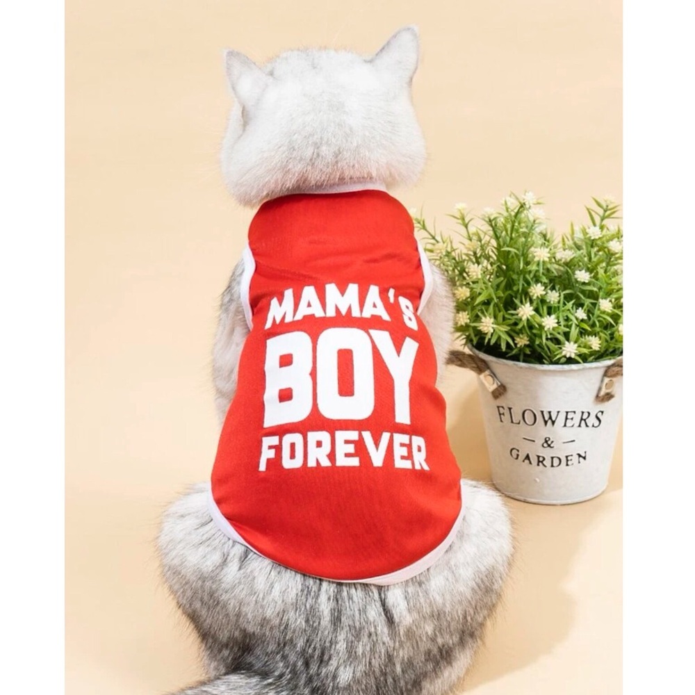 Graphic Print Pet Tee 🐕